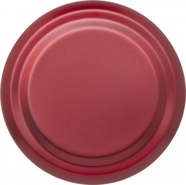 Termoska TAYLOR (450 ml) s čajovým sitkom, Red – P819.382 – detail 3